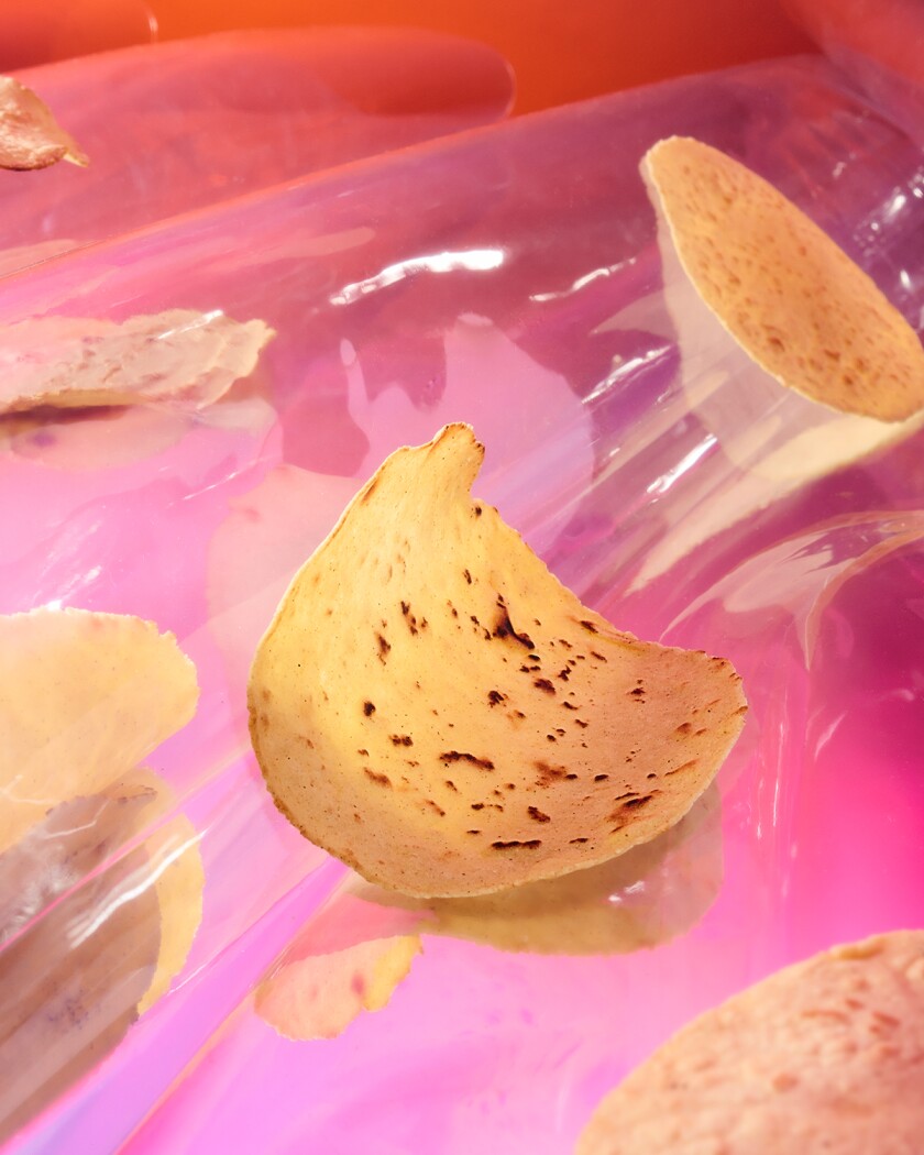 Tortillas on pink background